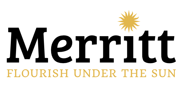 City logo